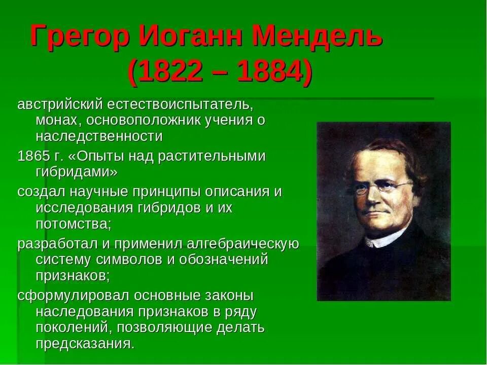 Основатель учения. Грегор Мендель (1822—1884). Грегор Мендель 1865. Мендель Грегор Иоганн опыты. Грегор Мендель генетика.