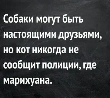 Короткий анекдот про жизнь