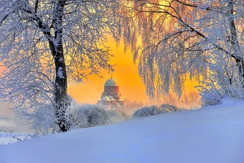 Январская жизнь