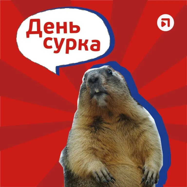 Суть дня сурка