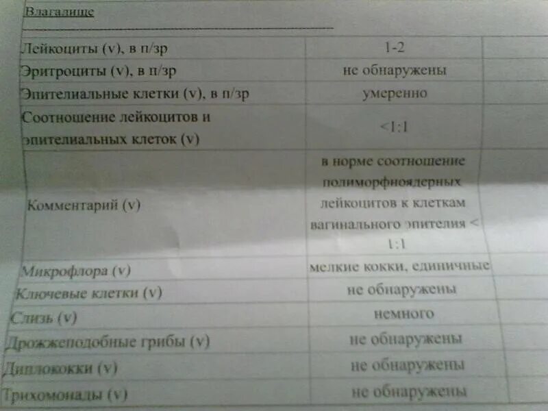 Соотношение лейкоцитов и эпителиальных клеток в мазке. Лейкоциты v 1-5 в мазке. Лейкоциты 10-15 в мазке во влагалище у женщин. Лейкоциты 2-3 в п/ЗР В мазке у женщин. Лейкоциты в п з