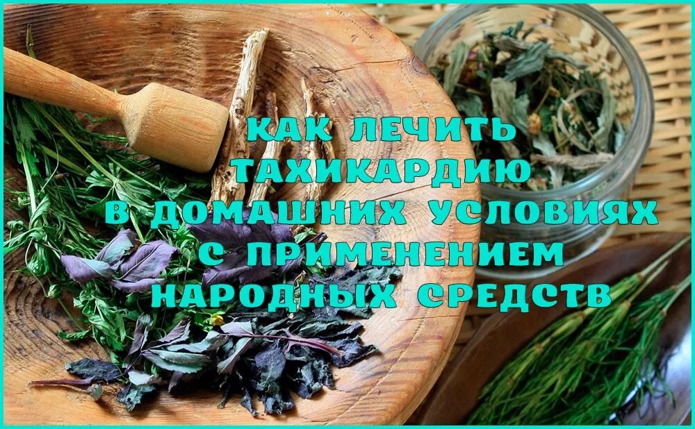 Лекарство от недержания мочи народные средства. Средства при тахикардии сердца. Народные средства лечения сердца у женщин. Полезные травы для сердца и сосудов. Народные рецепты картинки.