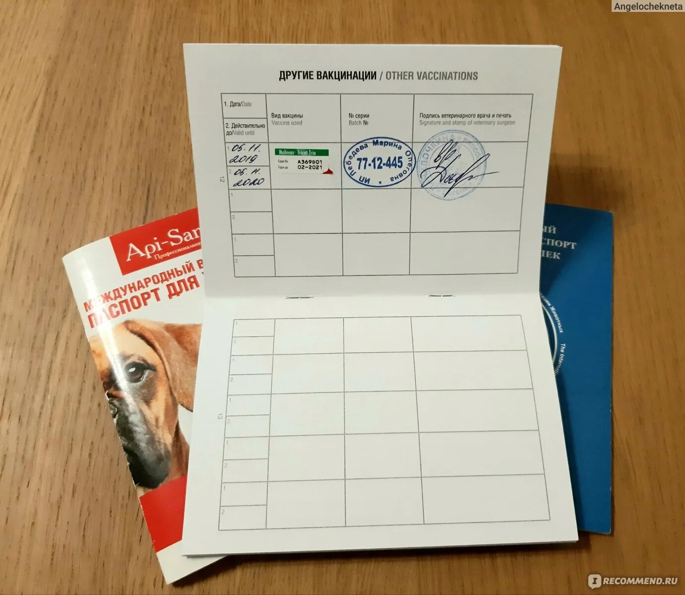Международный ветеринарный паспорт для животных / Pet passport. Агроветзащита - 
