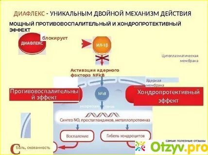 Диафлекс отзывы