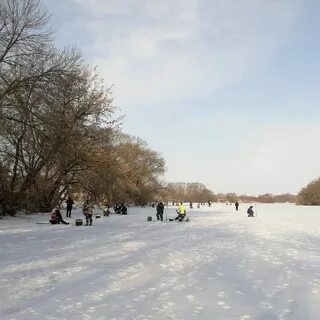 Добринка рыбалка