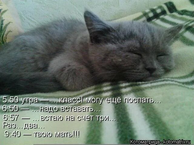 Не могу встать утром. Еще бы поспать. ещё по сплю. надо спать утром на работу. доброе утро еще бы поспать.