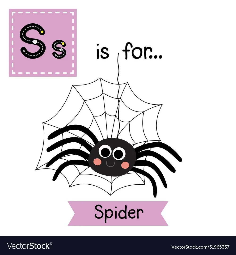 Как по английски будет паук. Паук по английскому. Паук карточка для детей. Spider на английском языке. Паучок на английском.