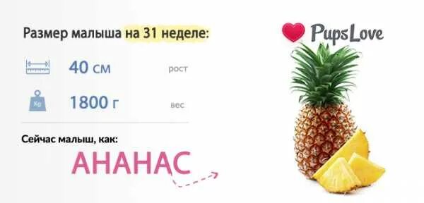 Размер ребенка на 31 неделе. Размер ребенка 31 неделя фрукт. Размер малыша по неделям по фруктам.