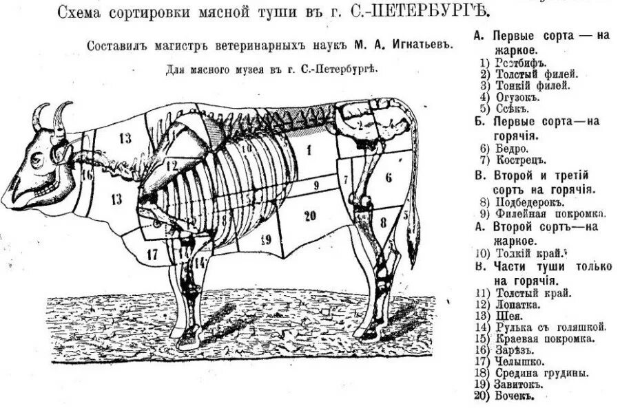 Схема разделки говяжьей туши с названиями частей. Схема разделки крупного рогатого скота. Туша КРС схема. Разделка мяса говядины схема.