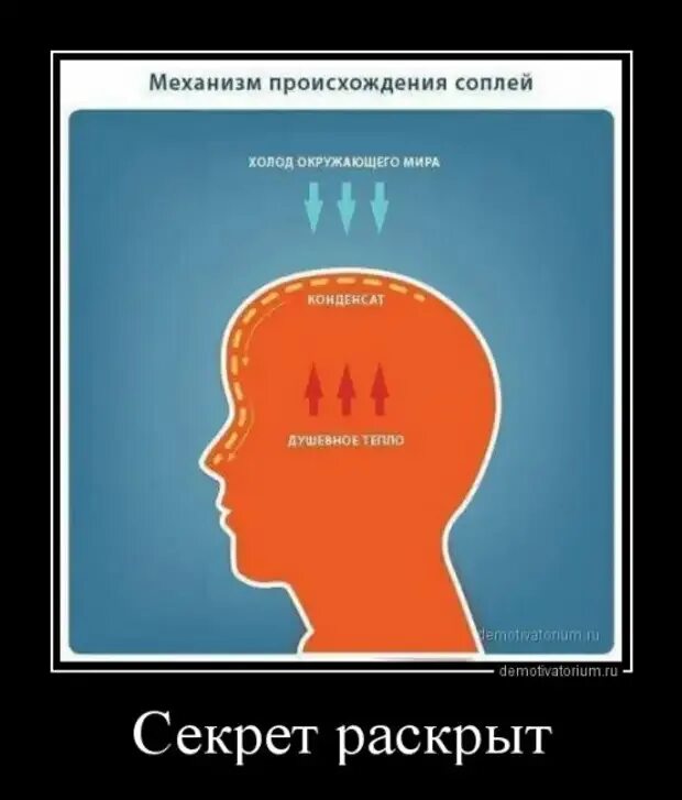 Секрет раскрыт. Секрет раскрыт картинка. Секрет раскрыт. Тайна раскрыта прикол. Секрет картинка смешная.