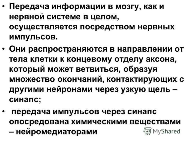 Возбуждающий синапс физиология. Химический синапс механизм. Схема строения и передачи сигнала в химическом синапсе. Механизм выделения медиатора в синаптическую щель. Нервный импульс особенности.