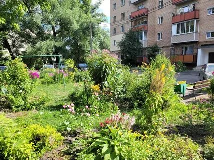 Цветы орехово зуево