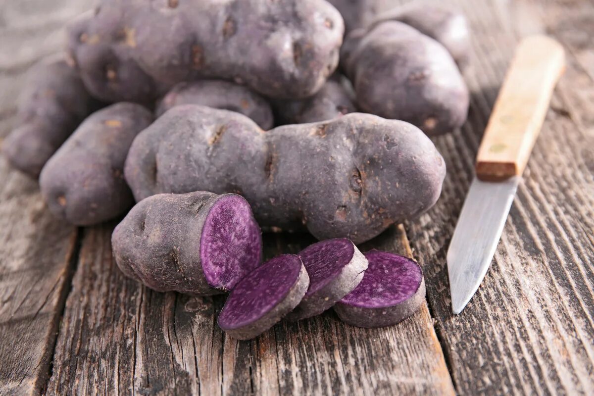 Сорт картофеля чугунка. Сорт картофеля перуанский фиолетовый (purple peruvian). сорт картофеля виталот. purple viking картофель. пурпурный батат.