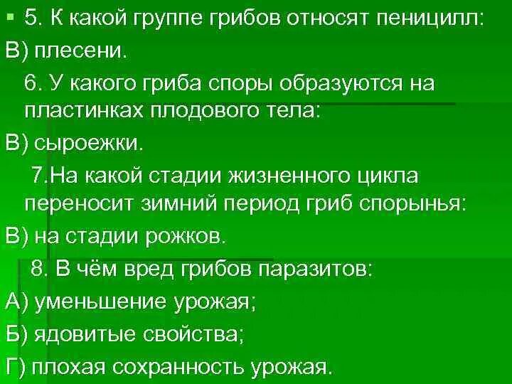 К какой группе можно относить грибы. К какой группе грибов относят пеницилл. пеницилл относится к группе грибов. к какой группе относится гриб пеницилл. к какой группе грибов относится пеницилл.