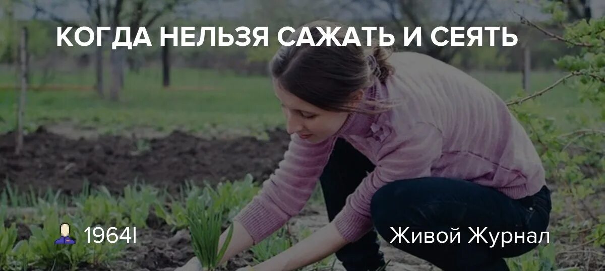 Когда нельзя сажать и сеять. Когда нельзя сажать и сеять: народные приметы. Картинка нельзя сажать. Нельзя садить человека.