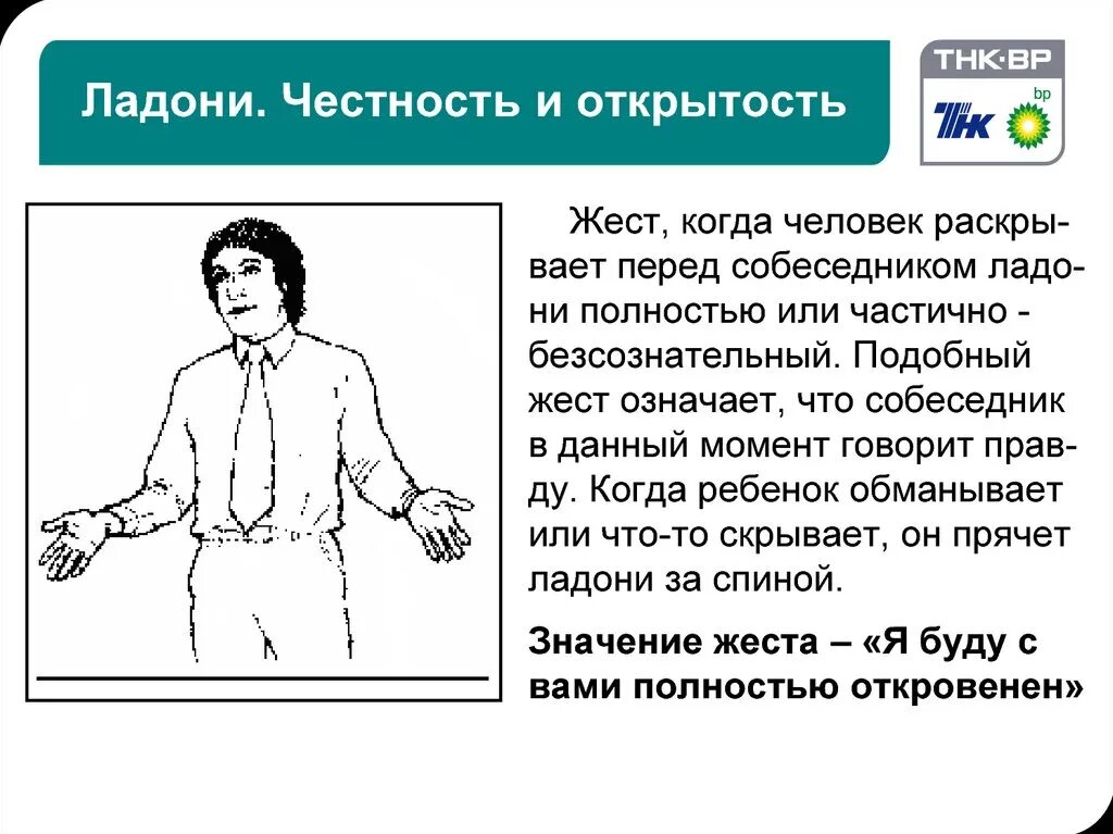 Руки при разговоре психология. Описание жестов. Жесты руками. Что означают жесты человека. Язык жестов рук психология.