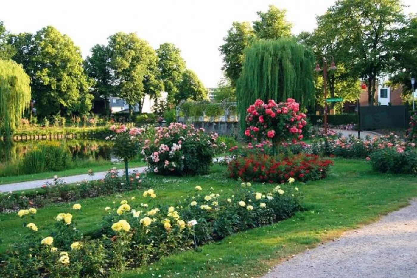 Конкурс лучшие сады. Uetersen Германия. Розарий Измайловского сада. Розариум в ландшафте.