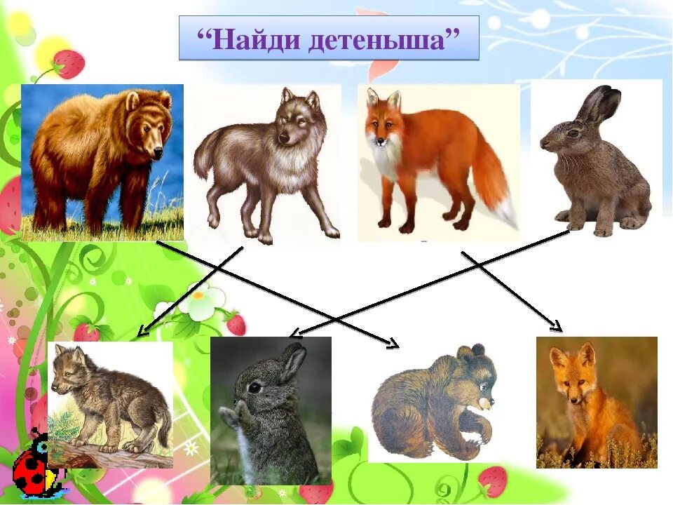 Игра найди зверей. Найди маму Дикие животные. Дикие животные Найди детеныша. Найди маму и детеныша животных. Игра Найди маму для детёныша.