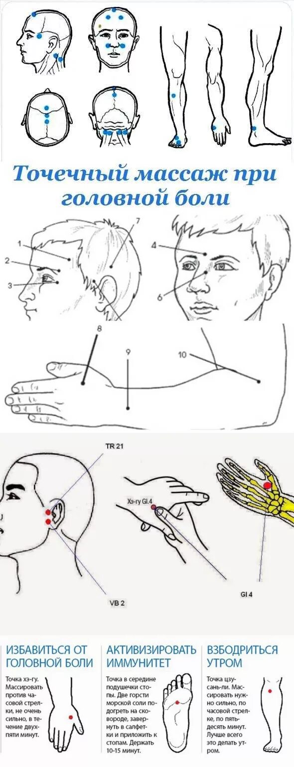 Точки от головной боли. Массажные точки при головной боли. Точки отвечающие за головную боль. Точки отвечающие за головную боль. Точки отвечающие за головную боль.