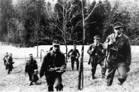 Партизан 9