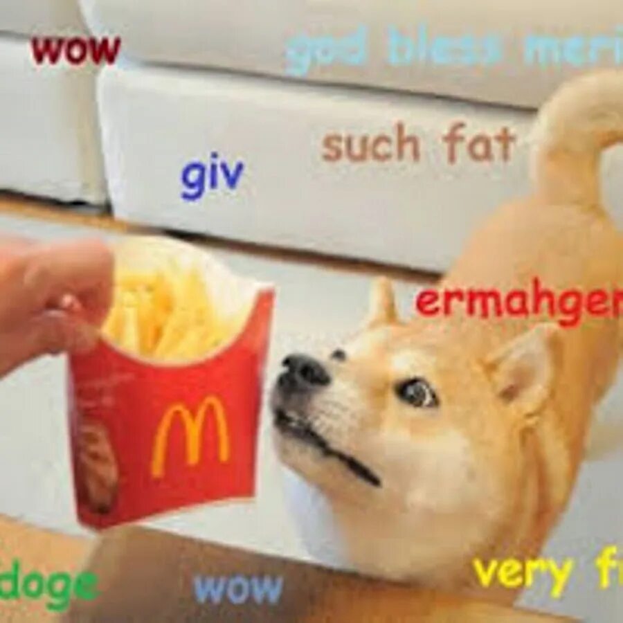 Such fun. Doge облизывается. Собачка wow such. Such.