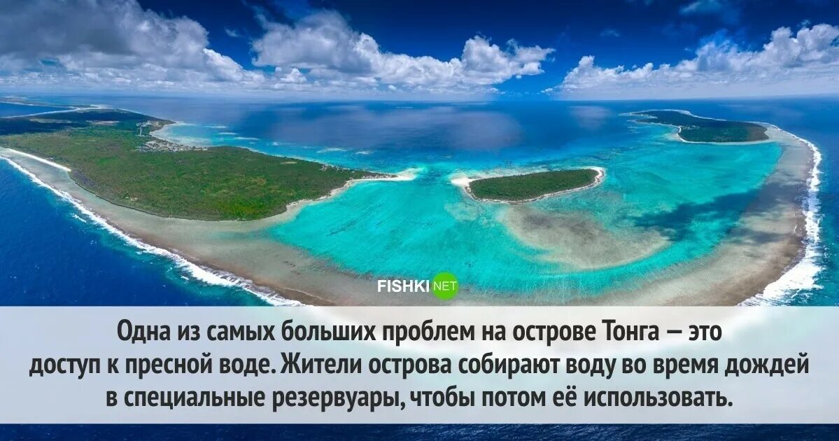Океания работает 1 января. Интересные факты про океанию. удивительные факты об океании. 10 интересных фактов о океании. лайм океания.