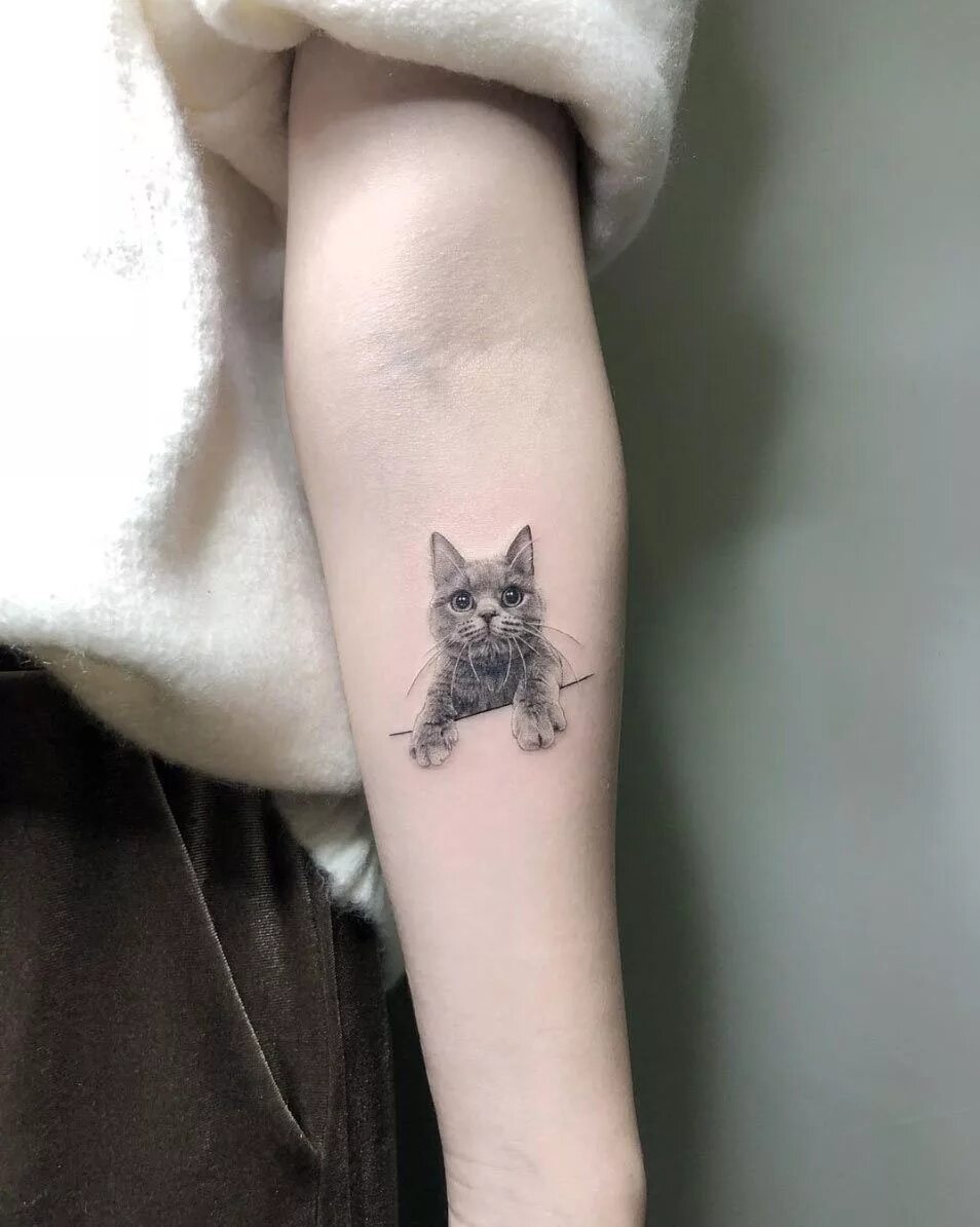 Тату на руку девушке кошка. Мини тату кошка. маленькие тату кошки. тату кошка маленькая. тату кошка на руке маленькая.