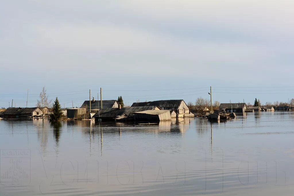 погода в усть усе. погода в усть усе. погода в усть усе. усть-уса. усть-уса новикбож.