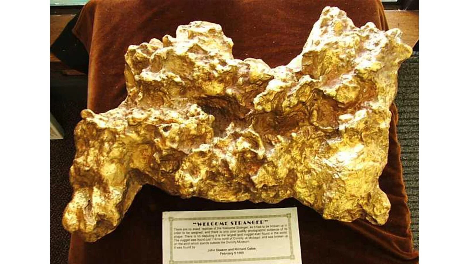 The world's gold. Самый большой самородок золота в мире. Самые большие золотые самородки в мире. Самородок Ирендыкский медведь. Самый большой самородок золота в Австралии.