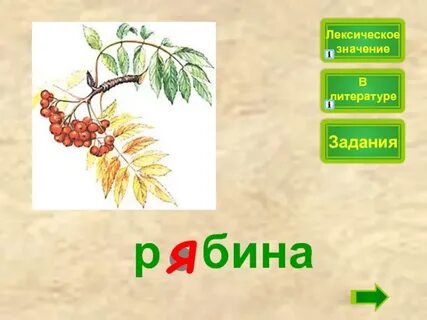 Лексическое значение слова осень