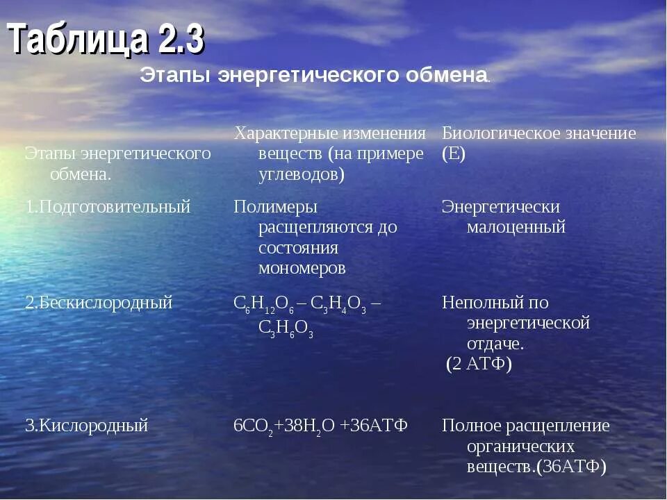 Бескислородный этап энергетического обмена происходит. Этапы энергетического обмена таблица. Этапы обмена веществ таблица. Этапы энергетич обмена таблица. Этапы энергетического обмена характерные изменения веществ.