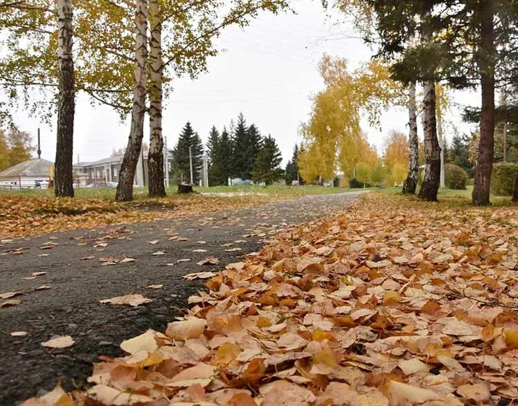 Осенние дожди на Алтае фото. Погода в октябре в Алтайском крае. Фото погоды в с Красногорское Алтайский край 26.04.2023. Фотографии природы в газете.