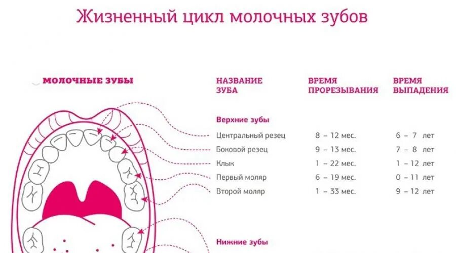 Можно ли удалить молочные зубы ребенку