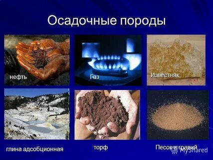 нефть осадочная