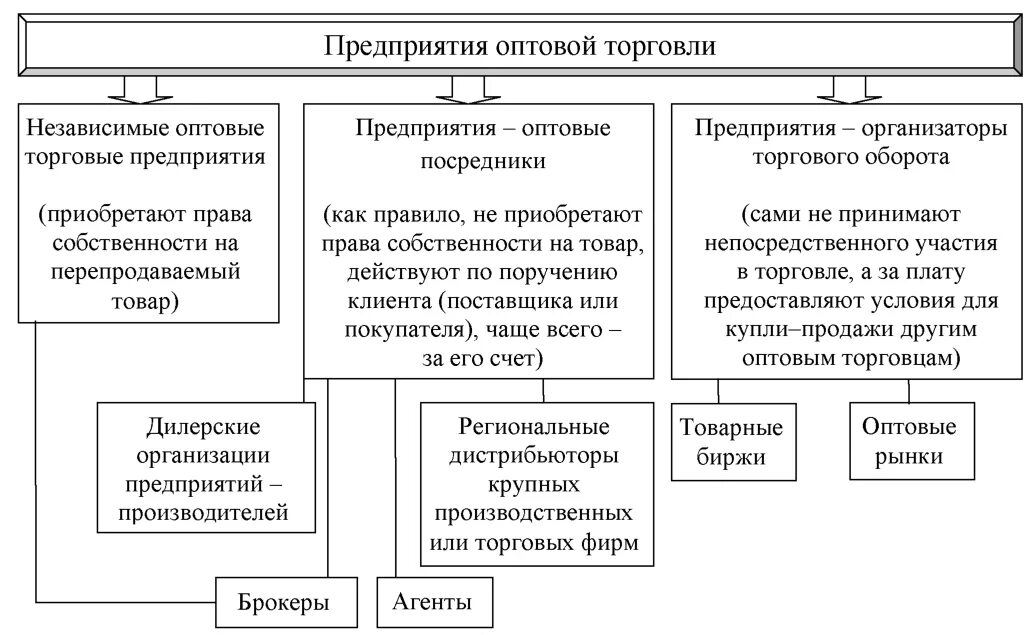 Схема структура оптового товарооборота. Виды предприятий оптовой торговли. Типы оптовых предприятий схема. Организация коммерческой деятельностью в оптовой торговле. Сбыт торгового предприятия