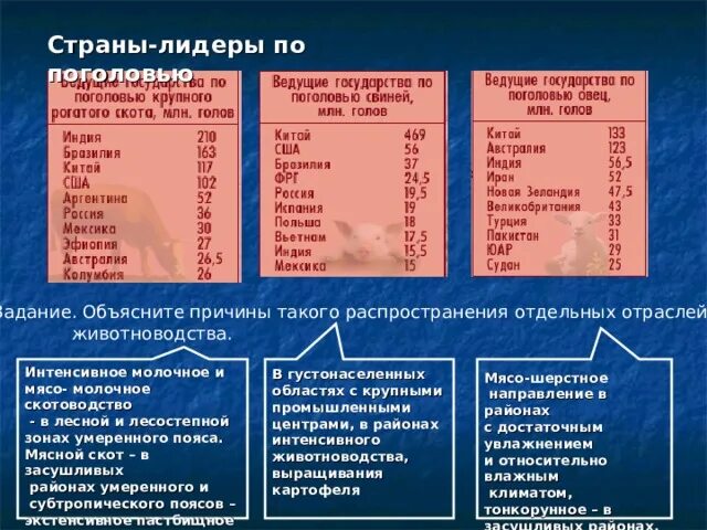 Страны по поголовью крупного. Страны Лидеры по скотоводству. Страны Лидеры по поголовью. Верблюдоводство страны Лидеры. Скотоводство страны Лидеры.