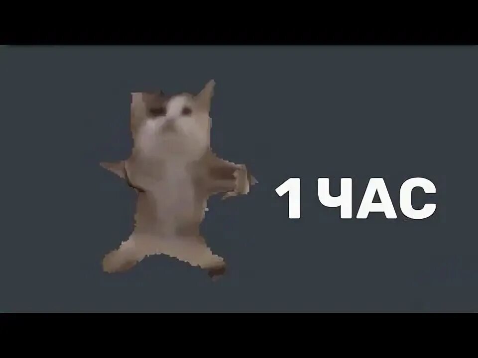 Шни шна шнапи мем с котом котик шни шна шнапи Х999 YouTube