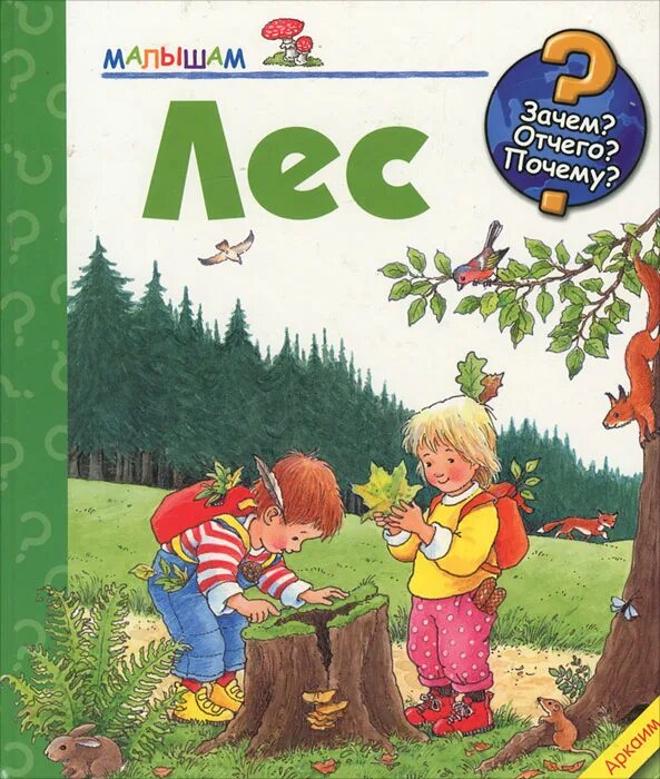 Изучаем лесных
