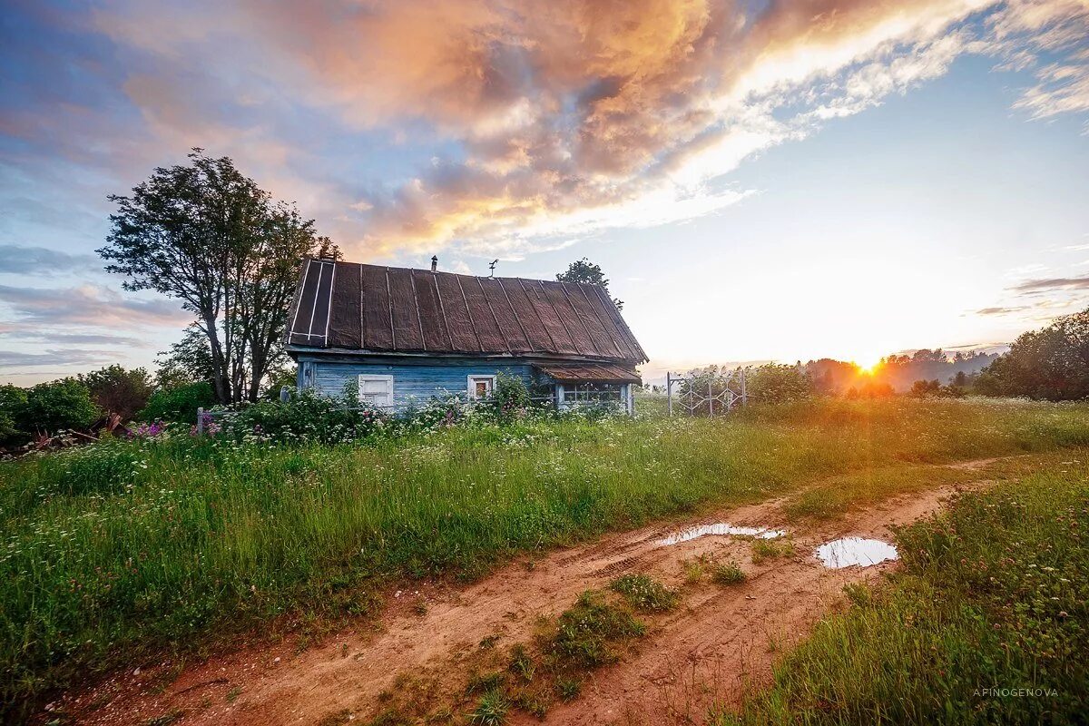 Фото деревни. Деревенька Тверская область. Вечер в деревне. Российская деревня летом. Летний вечер в деревне.