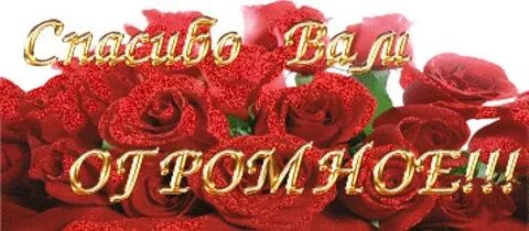 Спасибо большое вы мне помогли