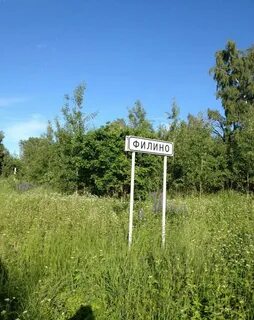 Филино