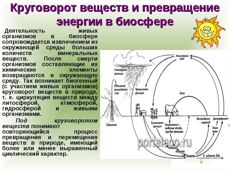Схема биологического круговорота веществ и превращение. Круговорот веществ и энергии в биосфере. Круговорот веществ и превращение энергии в биосфере. Превращение энергии в биосфере. Круговорот веществ в биосфере обеспечивается