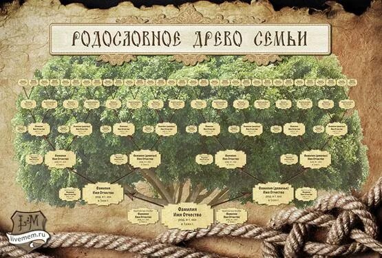Как узнать свой род происхождения. Происхождение рода. Генеалогия это наука. Дерево семьи откуда Родом Национальность. Российский центр родословия.