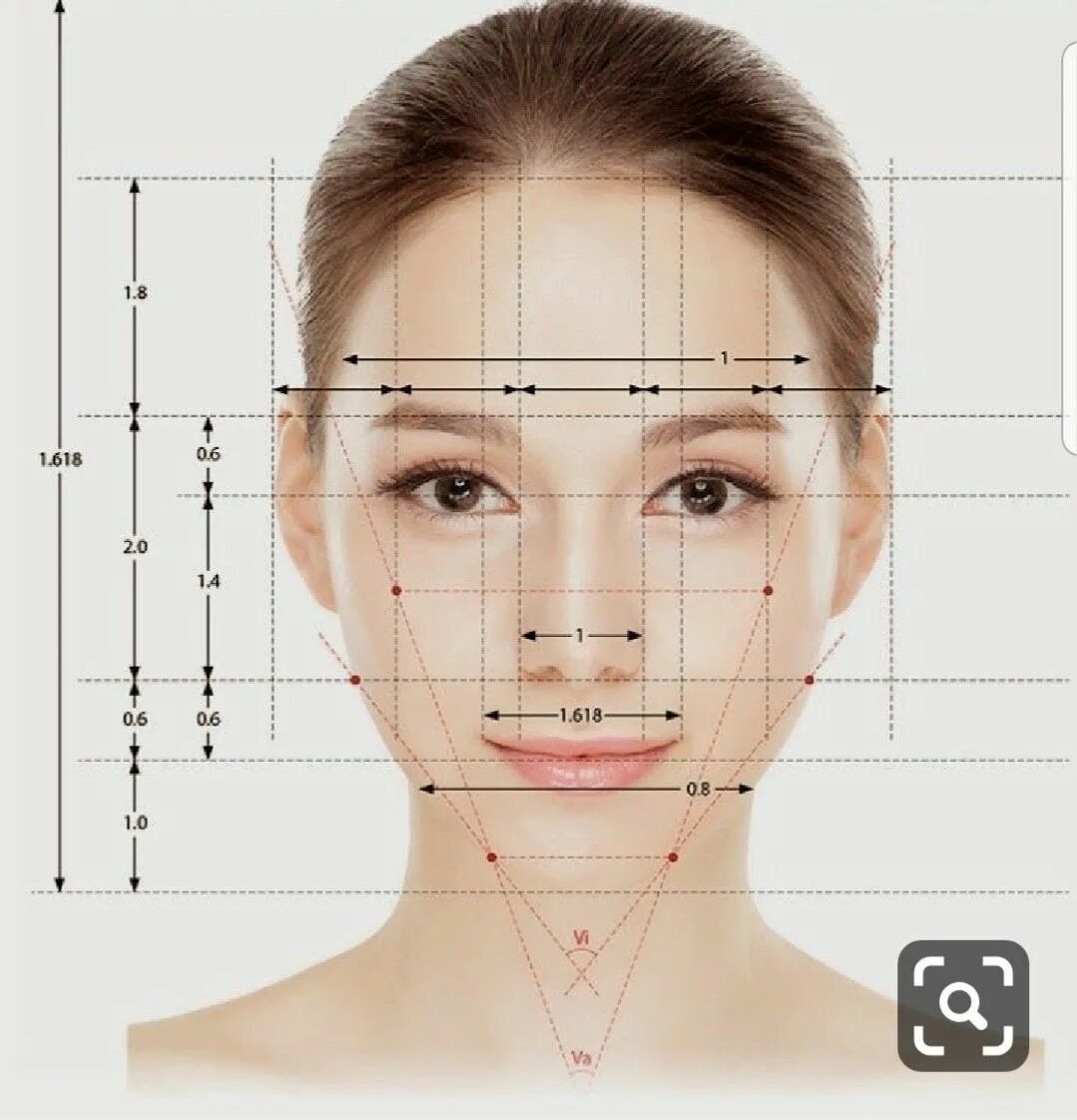 Длина лба