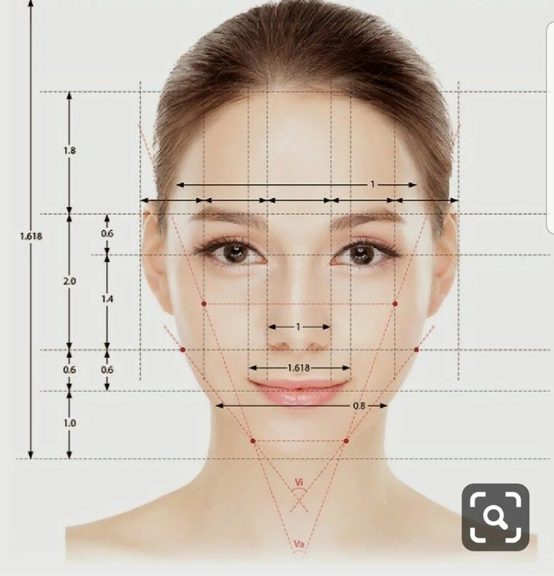 Золотое сечение пропорции лица. Золотое сечение в пропорциях лица человека. Идеальные пропорции лица. Идеальные черты лица.