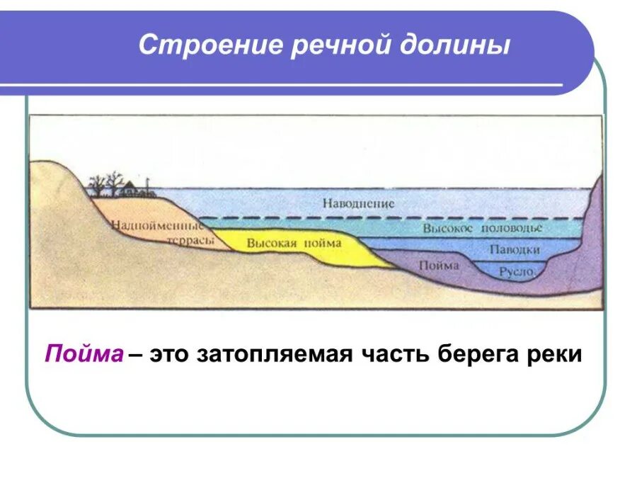 Пойма реки схема. Строение Речной Поймы схема. Строение Речной Долины схема. Строение и форма речных Долин. Пойма это простыми словами