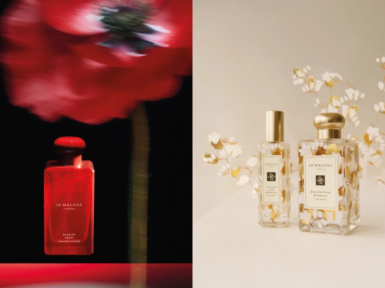 Скарлет поппи. Джо малоне скарлет поппи. джо малон скарлет. jo malone scarlet poppy cologne intense limited edition. jo malone london scarlet poppy cologne intense.