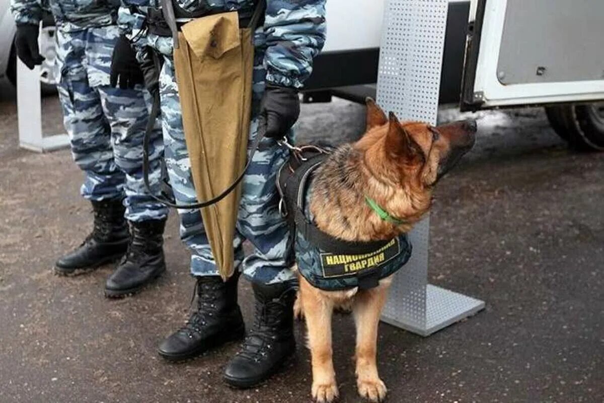 Уровень террористической опасности в Курской области. Бесхозная сумка. Желтый уровень террористической опасности. Высокий желтый уровень террористической опасности. Желтый уровень воздушной опасности