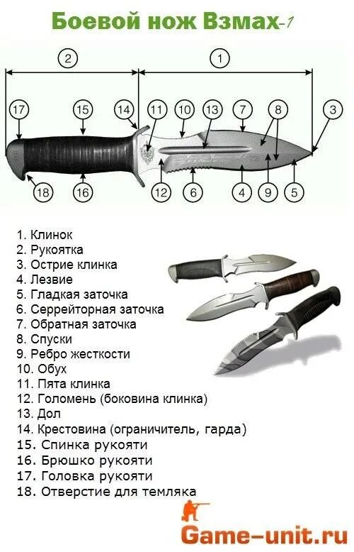 Основные конструктивные элементы ножа криминалистика. Строение ножа криминалистика. Строение холодного оружия криминалистика. Боевой нож Антитеррор чертеж. Части холодного оружия