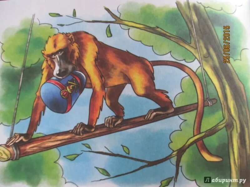 Житков про обезьянку. Иллюстрации к рассказу б.Житкова про обезьянку. Рисунок Житкова про обезьянку. Иллюстрация к рассказу про обезьяну.